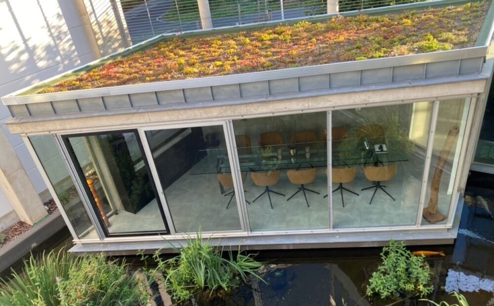 Gründach auf moderner Terrassenüberdachung von Fensterkonzepte Schulze in Köln – nachhaltige Dachbegrünung zur Wärmedämmung und Regenwassernutzung