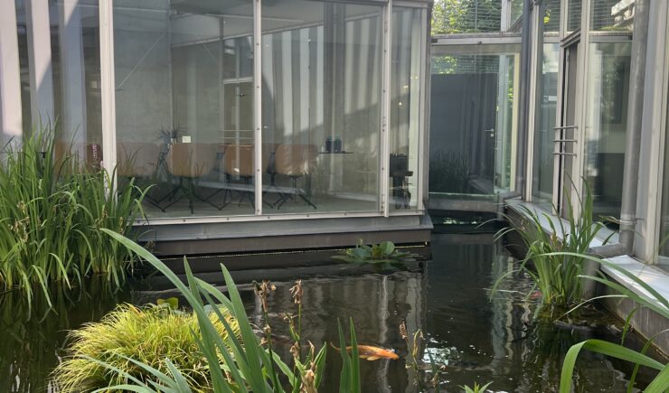 Fensterkonzepte Schulze Köln – Handwerk, Service und Vertrauen seit über zehn Jahren